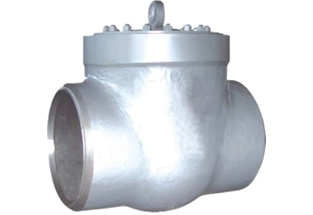 ANSI Pressure Seal Bonnet Check Valve