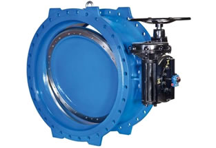 EN558-1 Double Flanged Butterfly Valve