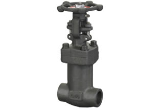 Forged Steel Bellows Seal Gate Valve