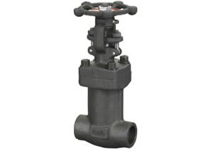 Forged Steel Bellows Seal Globe Valve