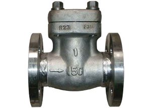 Forged Steel Flanged Check Valve