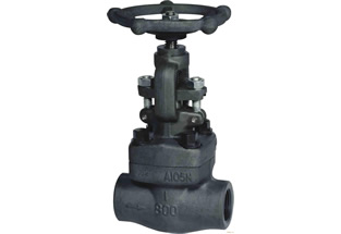 Forged Steel Globe Valve