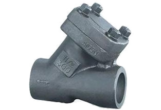 Forged Steel Check Valve