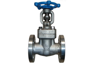 Forged Steel Flanged Gate Valve