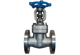 Forged Steel Gate Valve