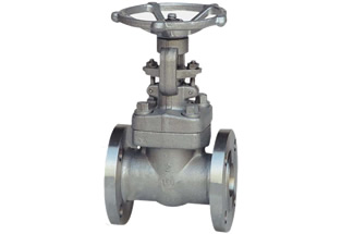 Forged Steel Flanged Gate Valve