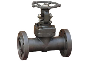 Forged Steel Flanged Gate Valve