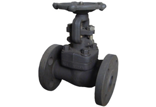 Forged Steel Flanged Gate Valve