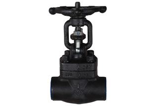 Forged Steel Gate Valve