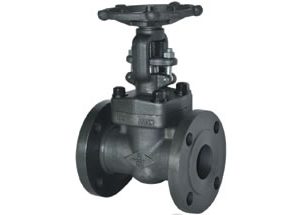 Forged Steel Flanged Gate Valve