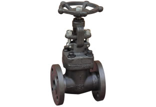 Forged Steel Flanged Globe Valve