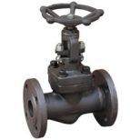 Forged Steel Flanged Globe Valve