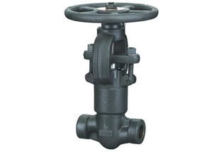 Pressure Seal Bonnet Globe Valves