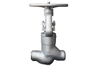 Pressure Seal Bonnet Globe Valves