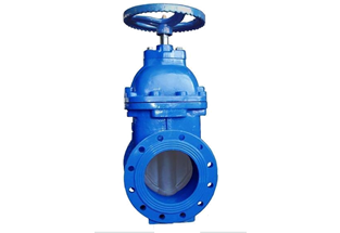 SABS 664 Resilient Seated Gate Valve