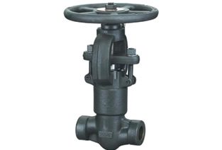 Forged Steel Globe Valve