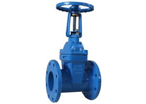 SABS 665 resilient seated gate valve