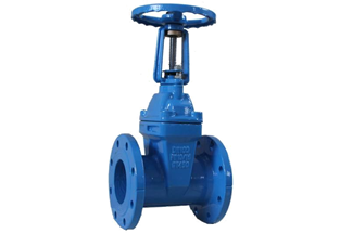 SABS 665 Resilient Seated Gate Valve
