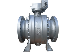 ANSI Trunnion Mounted Ball Valve