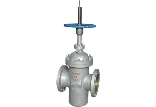 ANSI Slab Gate Valve