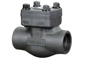 forged steel check valve