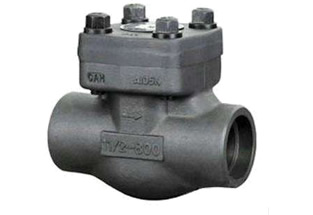 Forged Steel Check Valve