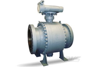 ANSI Trunnion Mounted Ball Valve