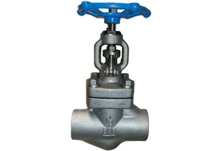 Forged Steel Globe Valve