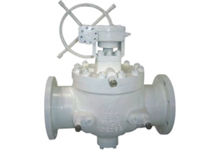 ANSI Top Entry Ball Valve