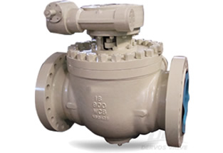 ANSI Top Entry Ball Valve