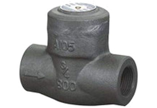 Forged Steel Check Valve