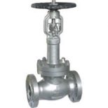 ANSI Bellows Globe Valve Extended