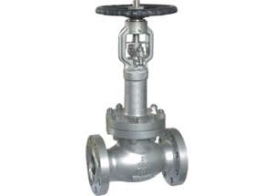 ANSI Bellows Globe Valve Extended