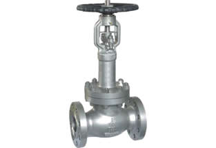 ANSI Bellows Globe Valve Extended