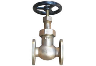 JIS F7348 16K Bronze Globe Valve