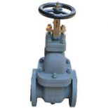 JIS F7363 5K Cast Iron Gate Valve