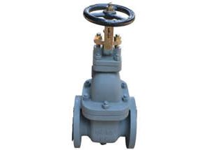 JIS F7363 5K Cast Iron Gate Valve