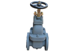 JIS F7363 5K Cast Iron Gate Valve