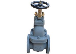 JIS F7364 10K Cast Iron Gate Valve