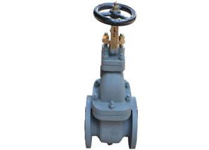 JIS F7369 16K Cast Iron Gate Valve