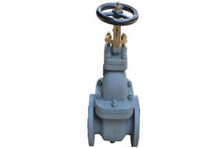 JIS F7369 16K Cast Iron Gate Valve