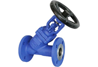 Y Type Bellows Globe Valve