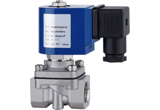 ZS 2 Way Direct Acting Solenoid Valve Stainless Steel