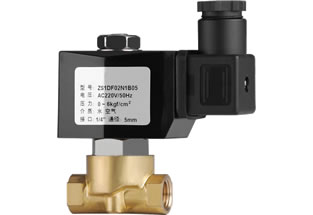 ZS Two Way Solenoid Valve Stainless Steel