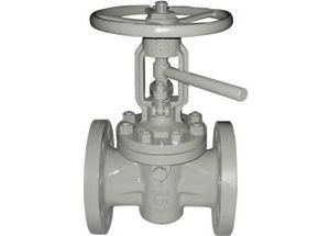 ANSI Lift Plug Valve