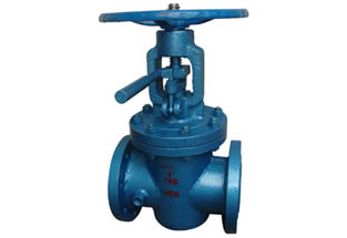 ANSI Lift Plug Valve