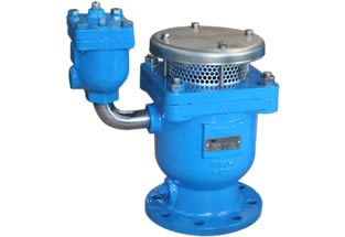 Combined Type Vent Valve