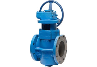 Eccentric Plug Valve