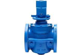 Eccentric Plug Valve