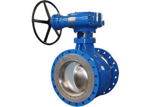 Eccentric Semi Ball Valve